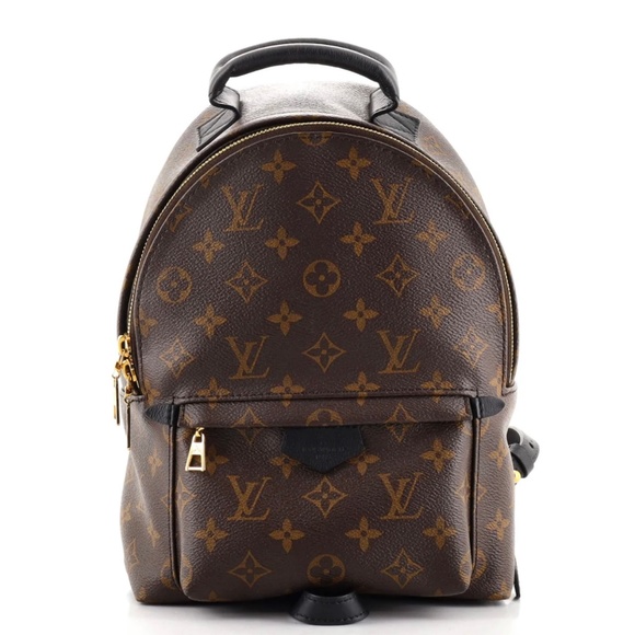Louis Vuitton Palm Springs Backpack Monogram Canvas PM - Picture 1 of 3